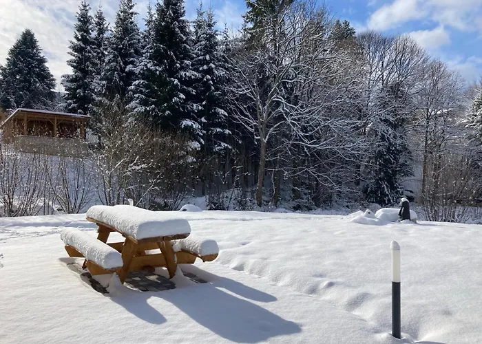 La Cabane Des Ecureuils